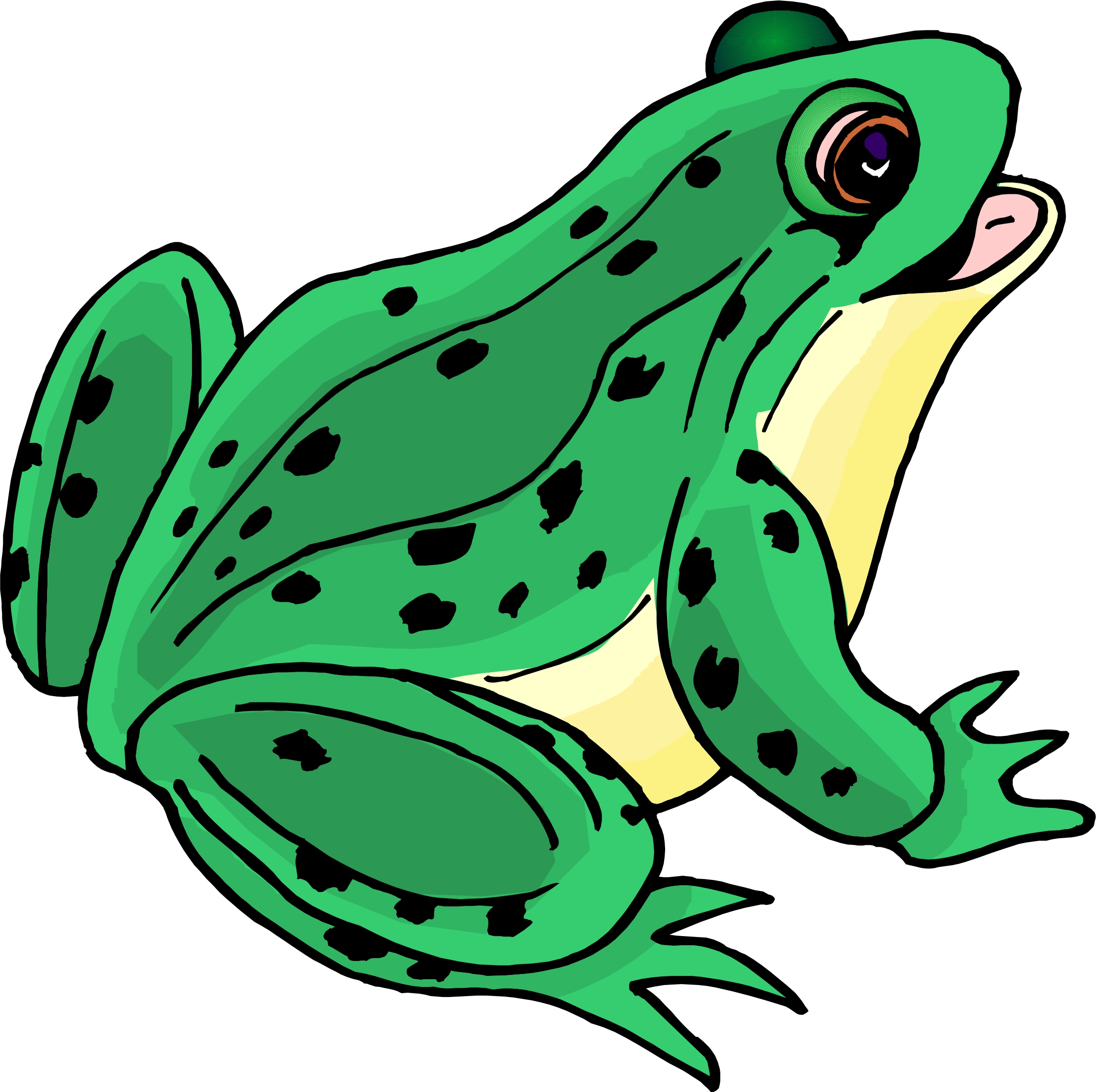 cartoon-frogs-images-clipart-best