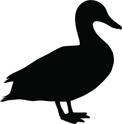 A Duck Silhouette Clip Art, Vector Images & Illustrations