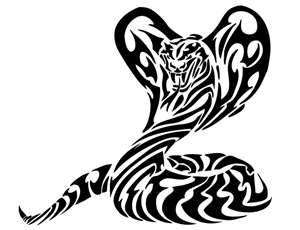 1000+ images about Cobra Tattoos