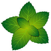 Clipart mint leaves