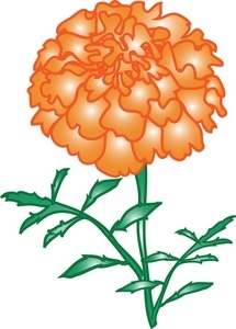 Marigold Flower Clipart