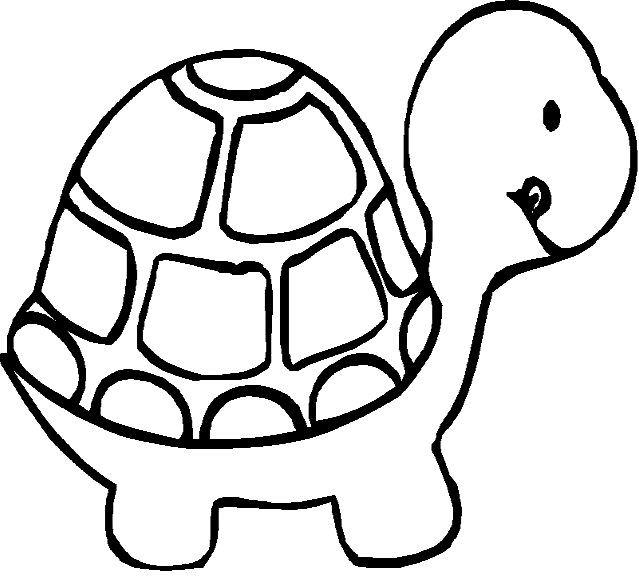 Coloring Pages Draw A Turtle - Drawing inspiration