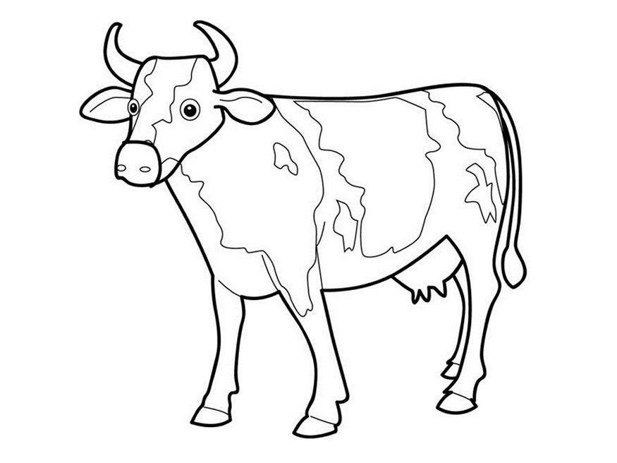 Cow Template Printable - AZ Coloring Pages