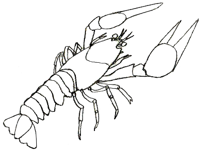Lobster Outline - Clipartion.com