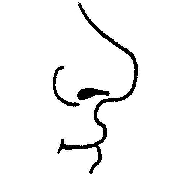 Clipart black and white nose