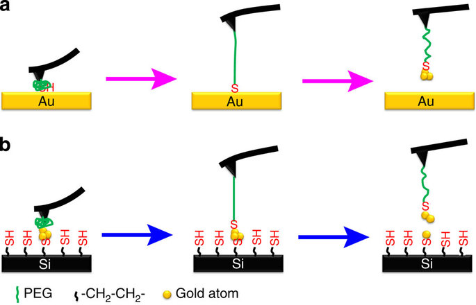 Quantifying thiol–gold interactions towards the efficient strength ...