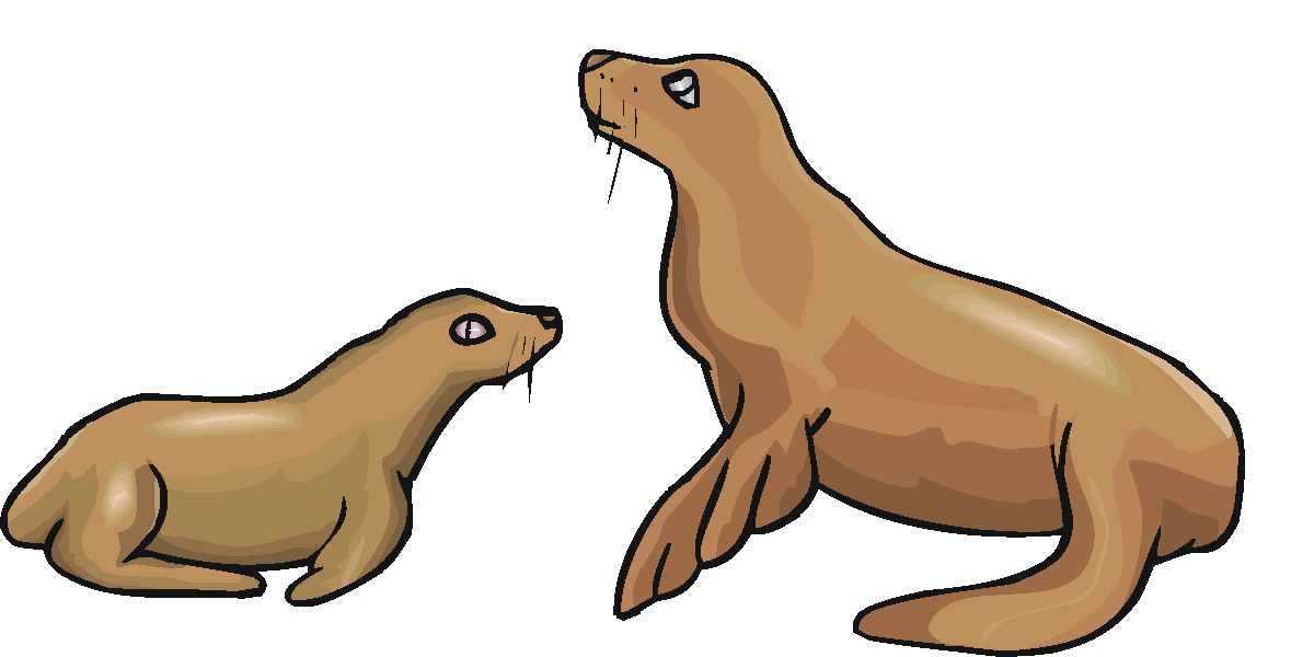 Cute sea lion clipart