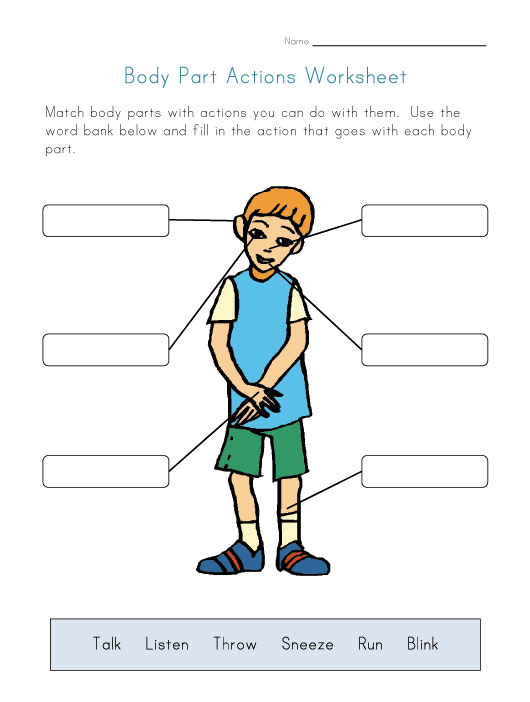 My Body Worksheets | Mreichert Kids Worksheets