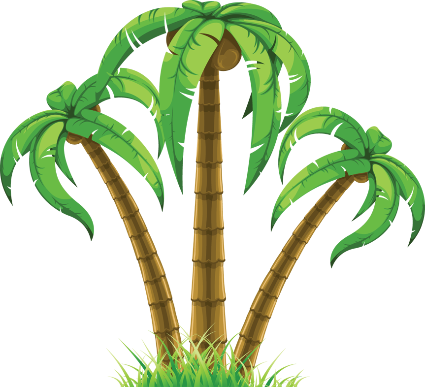 Palm tree png clipart