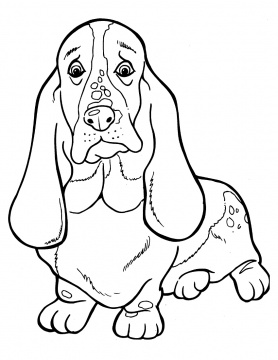 Cartoon Dog Kennel Outline - ClipArt Best