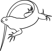 Free Iguana Clipart - Clip Art Pictures - Graphics - Illustrations