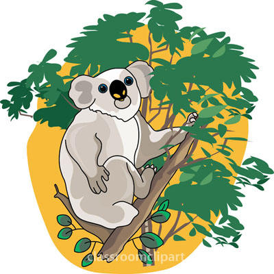 Koala clipart graphics free clip art