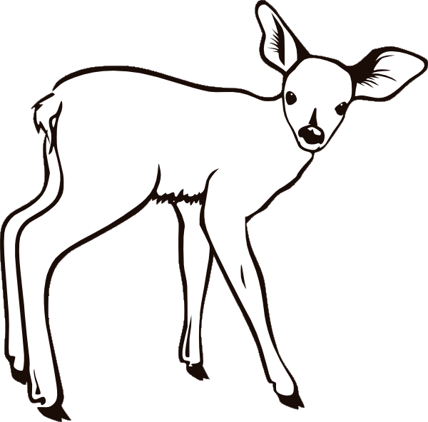 Deer Coloring Page #22757