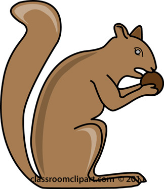 58 Free Squirrel Clipart - Cliparting.com