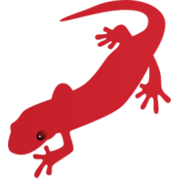 Salamander Outline clip art free vector