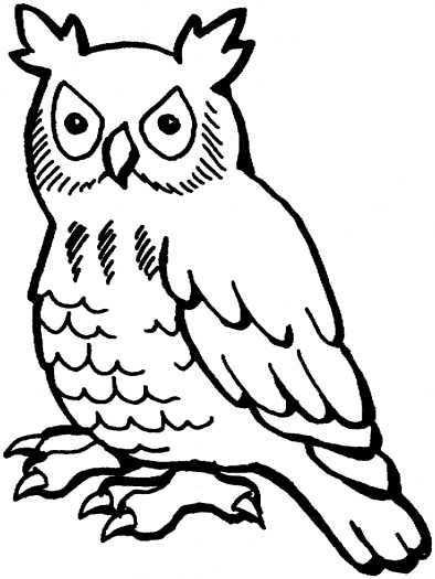 Owl Outline Drawing - ClipArt Best