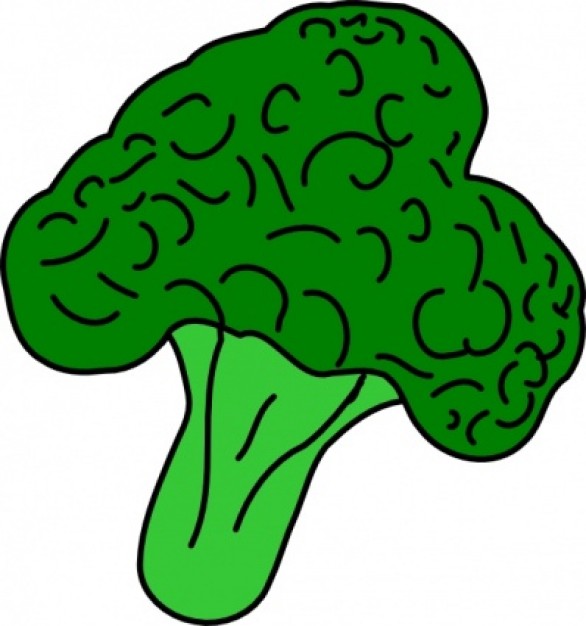 Broccoli clip art | Download free Vector