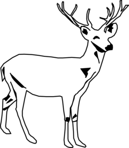 Deer White clip art - vector clip art online, royalty free ...