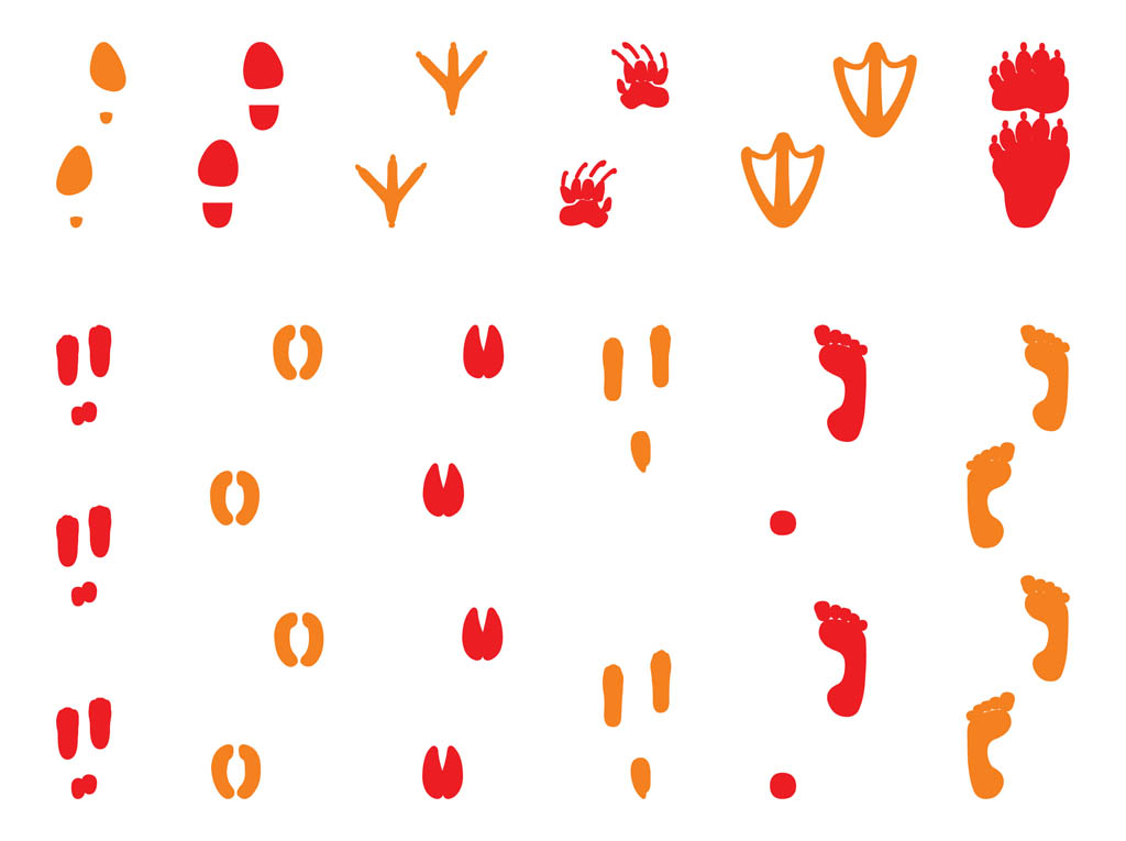 FreeVector-Foot-Prints-Set.jpg