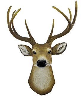 Amazon.com: 10 Point Buck Deer Skull Bust Wall Hanging: Home & Kitchen