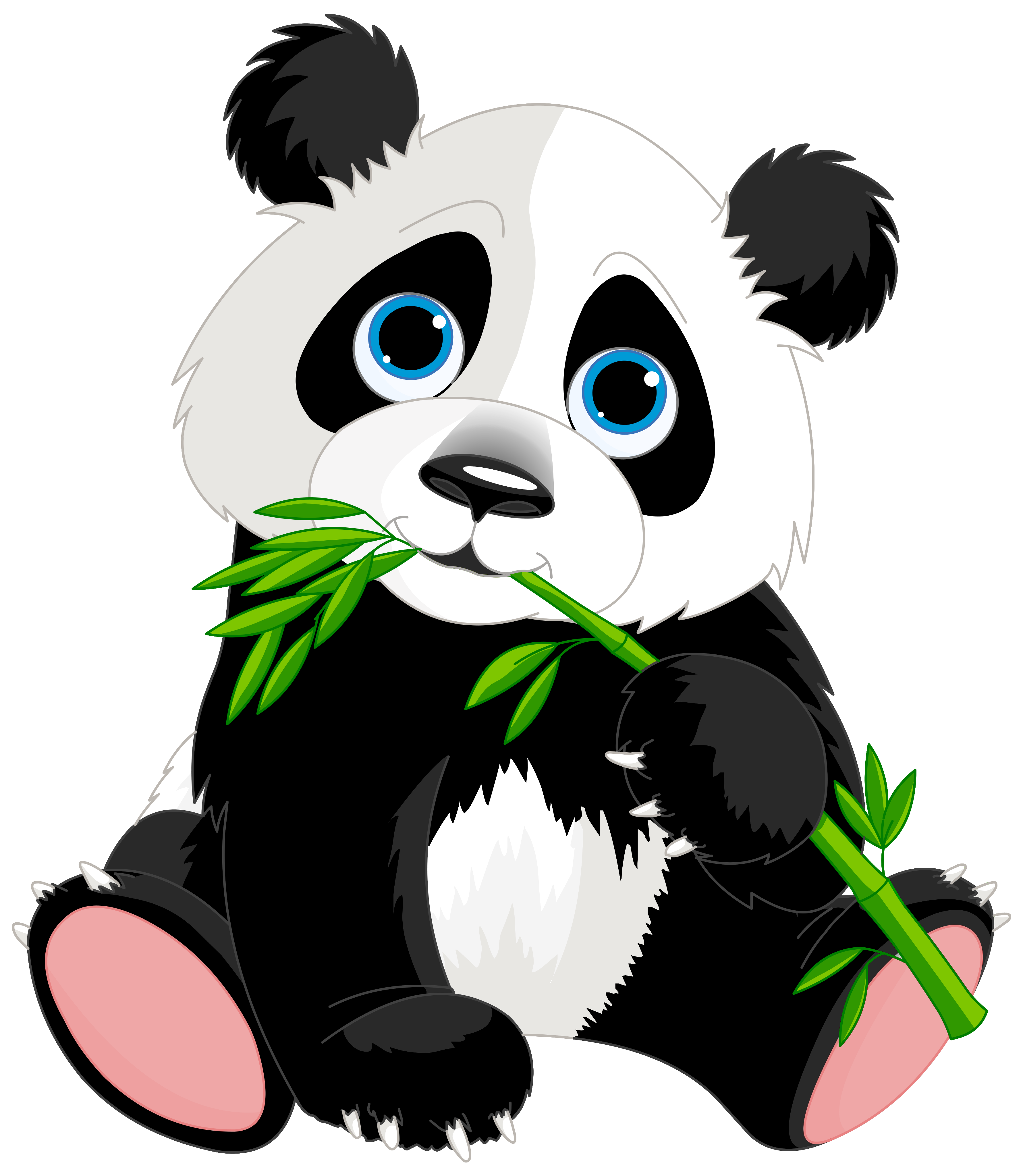Cute panda bamboo clipart
