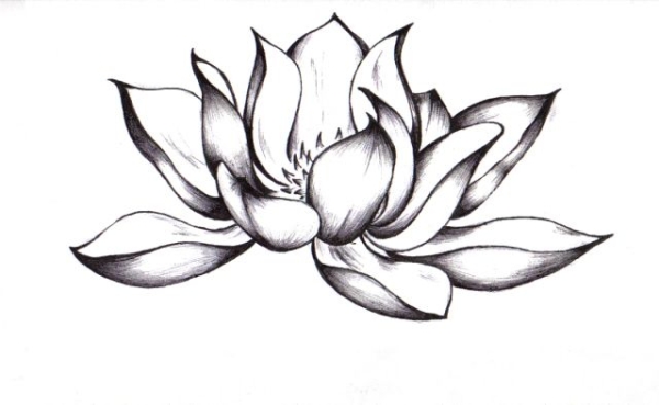 Black and White Lotus Flower Tattoo is actually very pretty