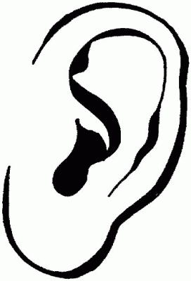 Drawing :: Clip Art :: Ear - Free Clipart Images