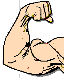 Bicep Cartoon - ClipArt Best