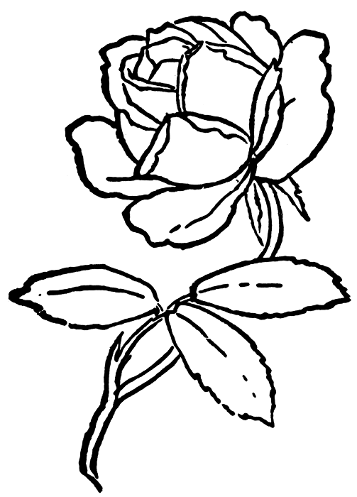Rose Clip Art Outline - Free Clipart Images