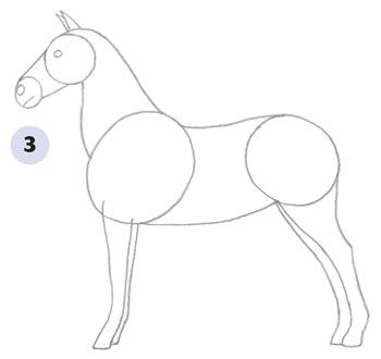 Horse Drawing Step By Step - HVGJ - ClipArt Best - ClipArt Best