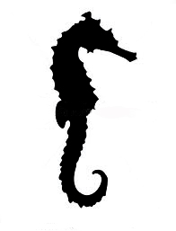 Seahorse Silhouette Clipart