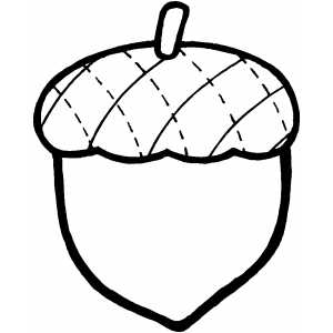 broken acorn drawing
