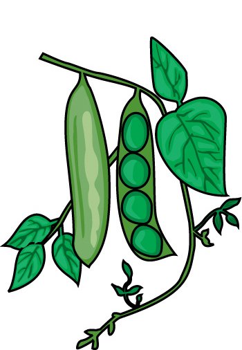 Peas Clipart | Free Download Clip Art | Free Clip Art | on Clipart ...