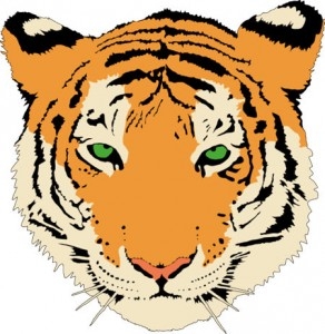 Clipart Of Tiger Face