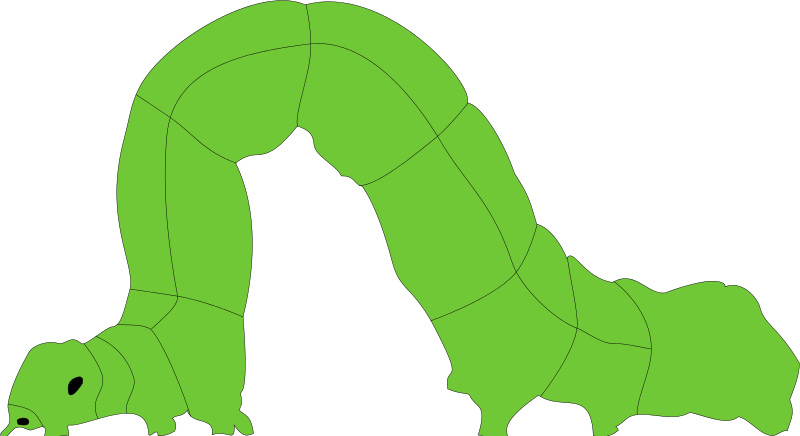 Inchworm clipart free - ClipartFox