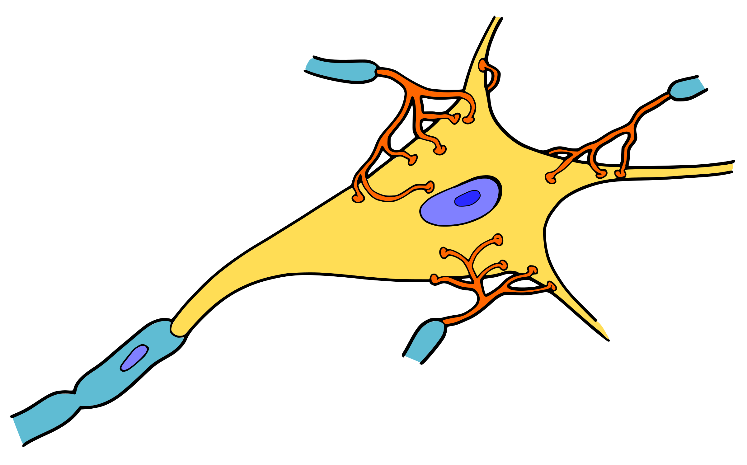 Neuron Picture - ClipArt Best