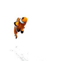 Picasso Clownfish With Nemo Pictures, Images & Photos | Photobucket