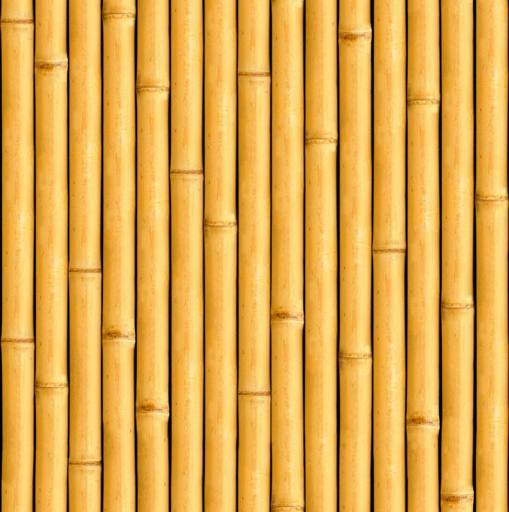 Cartoon Wood Texture - ClipArt Best