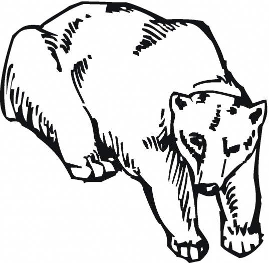 Grizzly Bear Outline - ClipArt Best