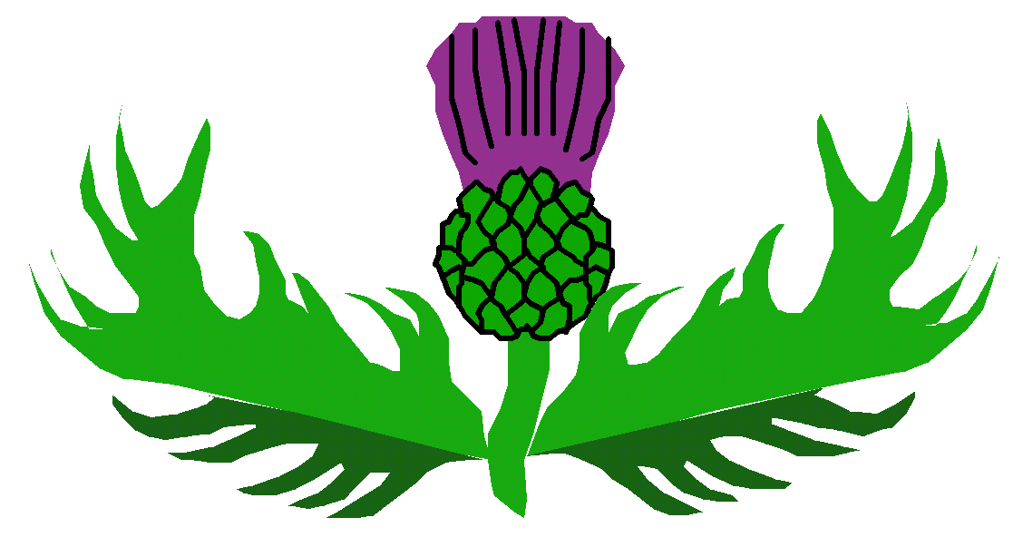 Scottish thistle clipart