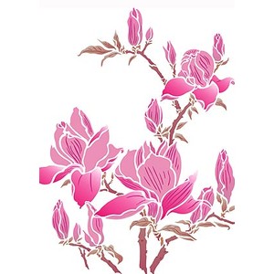 Flower Stencils Magnolia Stencil Magnolia Blossom Stencils - Polyvore