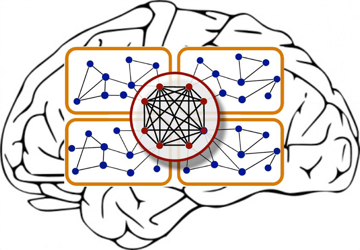 Brain Diagram For Kids - ClipArt Best