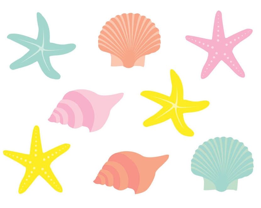 Seashell Cartoon Clipart