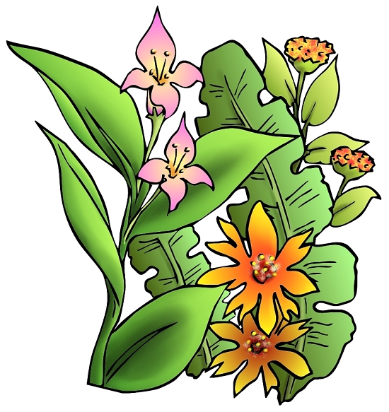 Free download Tropical Flower Drawings