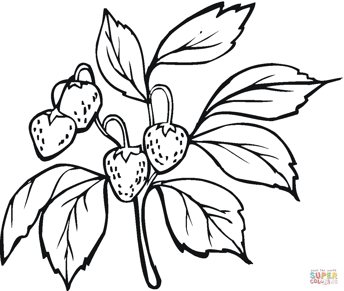 Strawberry coloring pages | Free Coloring Pages