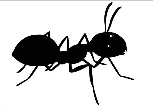 Black ant clipart