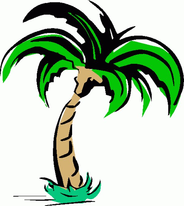 Palm Trees Drawings - ClipArt Best - ClipArt Best