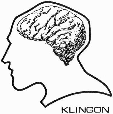 Image - Klingon brain diagram (23rd century).jpg - Memory Beta ...