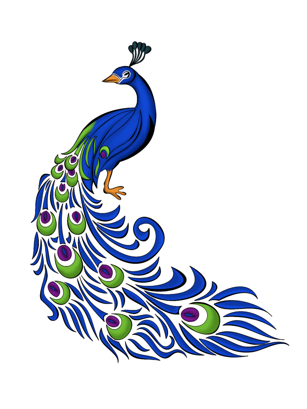 Peacock Vector Art Clipart Best