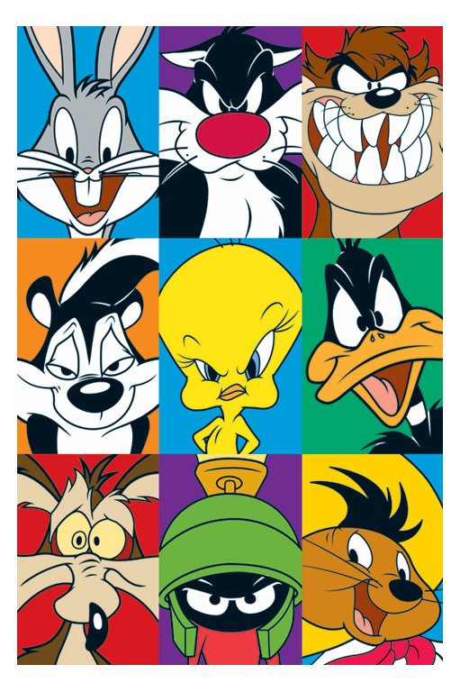 Looney Toons vs Animaniacs!